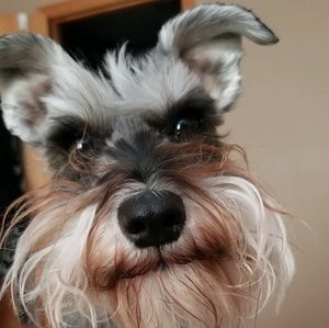 Meet your Posher, Stacy